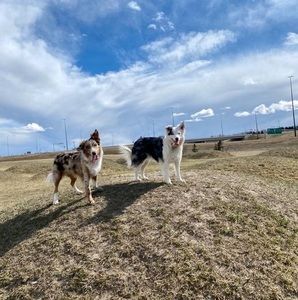 Meet your Posher, Sue